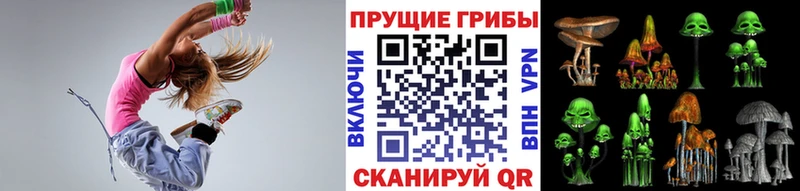 Купить  Соликамск  Псилоцибиновые грибы GOLDEN TEACHER 